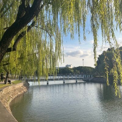 criswdyz's profile picture. 