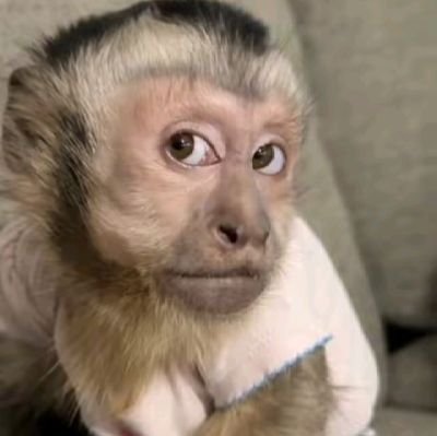 flareeesss's profile picture. 