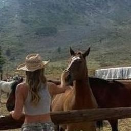 Reegirl210's profile picture. 