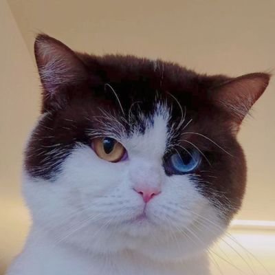 Danya_Rote's profile picture. BounPrem Stan Only. 
영원히 동화의 세계에 사는 웬디. Love Romain Gary, Philip Marlowe, Blues, Comics and Fairytales etc.