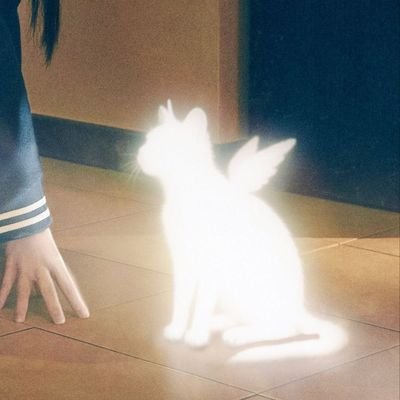 emptyspacehere0's profile picture. 