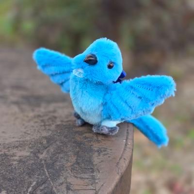 jeongsunye52628's profile picture. 