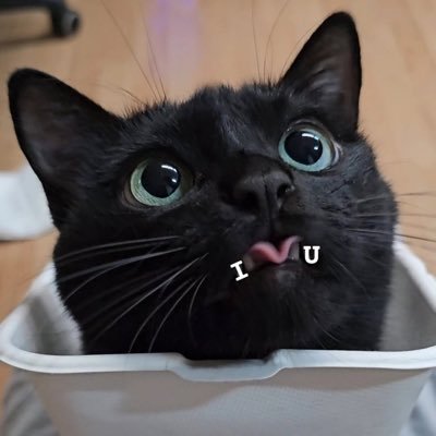 upileddds's profile picture. gaada yang istimewa