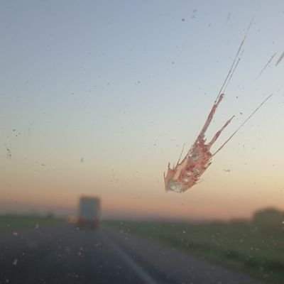 Marcus833795714's profile picture. I live a very boring loney life but I am funny