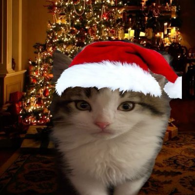 Minsayday's profile picture. Que boa ideia este casamento primaveril em pleno outono

How now brown cow

https://t.co/3uFTsnCJ3Z