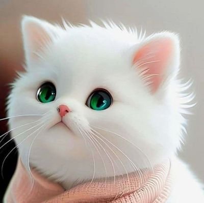 elonusil's profile picture. 