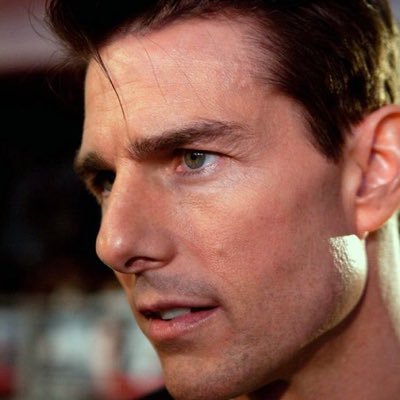 Tomcruise44070's profile picture. Hollyhock