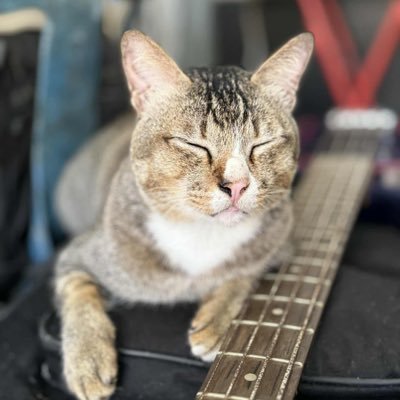 fasai77m's profile picture. Art @FasaiMidori ☘️ 20↑ SWU 🏳️‍🌈 Hetalia,PLAVE, 刀剣乱舞,Touhou,TPN,48TH,🏐HQ: 🔄🆗 Atsukita,Bokuaka,Kurodai,Kuroken,Levyaku,Oisuga, Semishira,Ushioi,UshisakuUshi