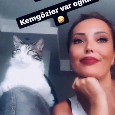 cnrmry61's profile picture. bir kedi annesi,ınatçı tipik ikizler burcu (DM❌❌❌YOK)