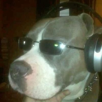 MeisSalva's profile picture. put my dick in a bag of doritos