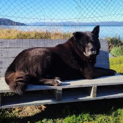 Matiasd1s's profile picture. 