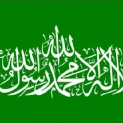 diego_mail33352's profile picture. contra el judaísmo, contra el capital, contra el liberalismo, contra la democracia