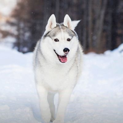 Smile2Jocelyn's profile picture. Smile