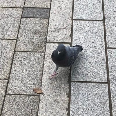 TAMI89352466851's profile picture. 読みで街を守る男の話、書いてます。南米・スーパウロを舞台に、“将棋”で秩序と魂を繋ぐ物語。 攻めず、守り抜きながら、“静かな戦い”を描いていきます。