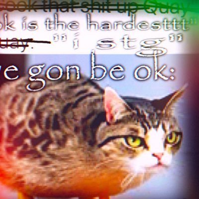 Susmcbaguette's profile picture. erm