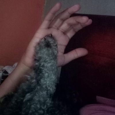 REMASAYR's profile picture. 