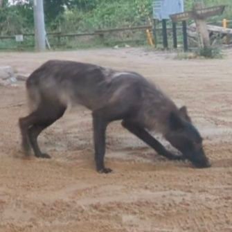 YZCRFKXRM's profile picture. 過去NBで一度もポイントとった事がありません。