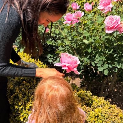 wien_sulzbach's profile picture. Here for Harry Meghan Archie Lilibet and House of Sussex