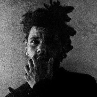 trxpdraco's profile picture. multi-stan | ✗◦