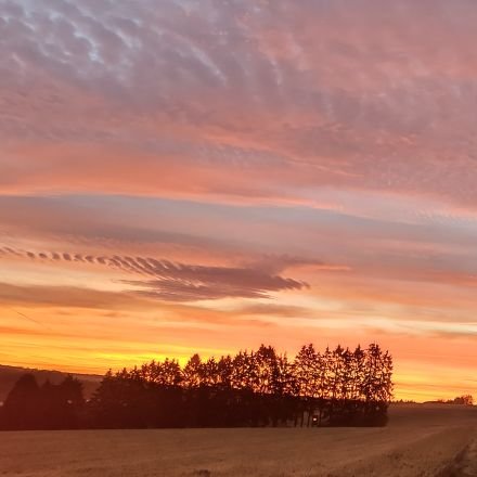 EndeAusSchluss's profile picture. 