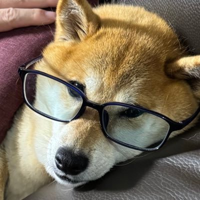 aXzIWTZhmbiTPws's profile picture. 推し活