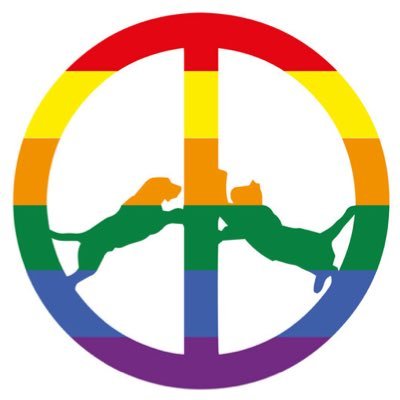 zayan333333's profile picture. You’re my friend what else do I need from the universe ❤️🧡💛💚💙💜