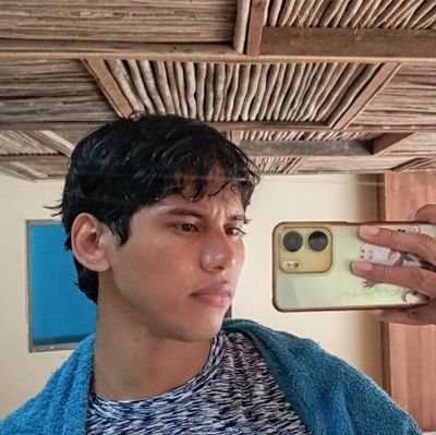 honestly_luis's profile picture. 