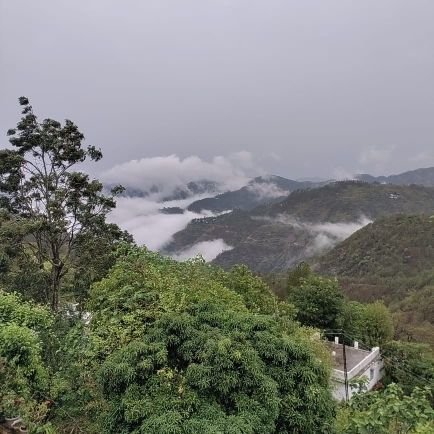 Manishrawat1218's profile picture. 