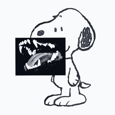 fonko556's profile picture. Liiit🔥🔥🔥🔥