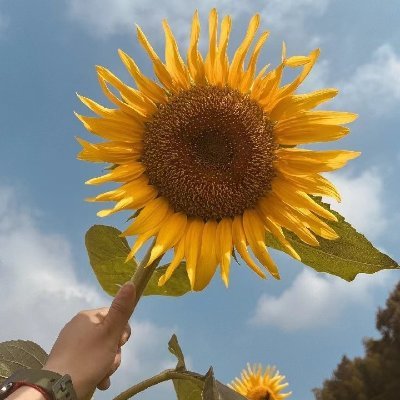 hpahzdjj59330's profile picture. 自由自在无拘无束