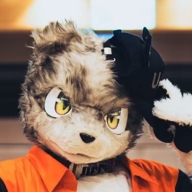 ジッポ / Jippo ➡️ JMoF2026 (@jippo_wolf) / Posts / X