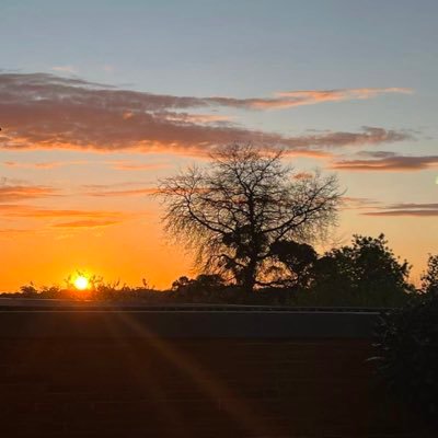 readinfomyself's profile picture. Blessed