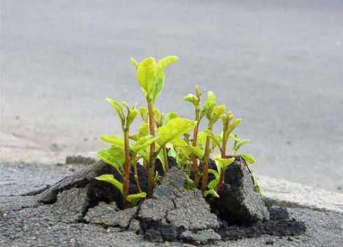 ECHOTHK's profile picture. 포항 바닷가/세아이의 아빠/자영업/테니스/죽도시장/노무현/
여행/등등     음~ 활로우 좋아! 좋아!