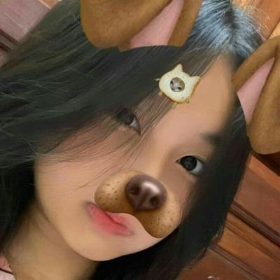 alifzahir62's profile picture. 