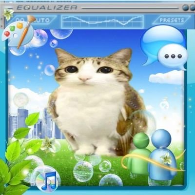 MTKMCH__'s profile picture. 단체손님용 화장실인데 변기마다 칸막이가없고 다같이 둘러앉아서 똥을 쌈
원래닉:곰팡이