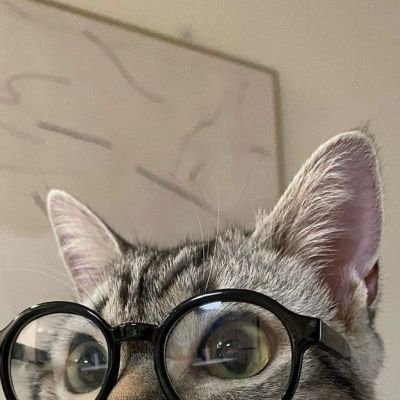 C1249228's profile picture. 