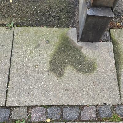 mwnamwno's profile picture. 