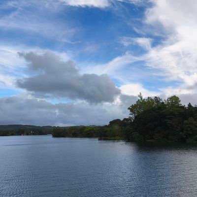 felixjobeth's profile picture. 🐻