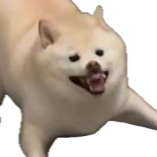 beelbraye's profile picture. 💧🥤🌭🌭