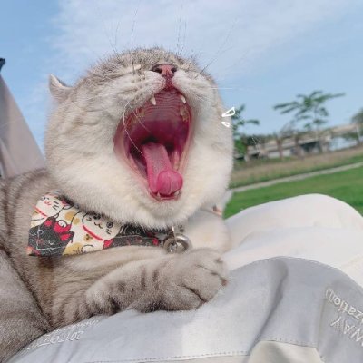 FilipBejer's profile picture. 