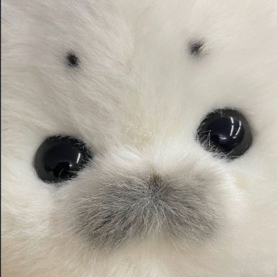 tx_h4ru's profile picture. 🇻🇳 | she/her | artist | baoo :heart: