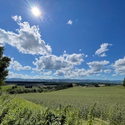 ooccchhhho's profile picture. 