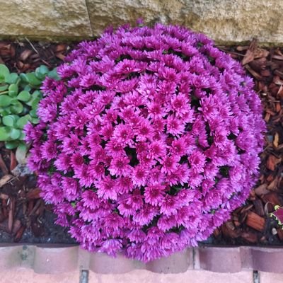 CesarGarcia7773's profile picture. 