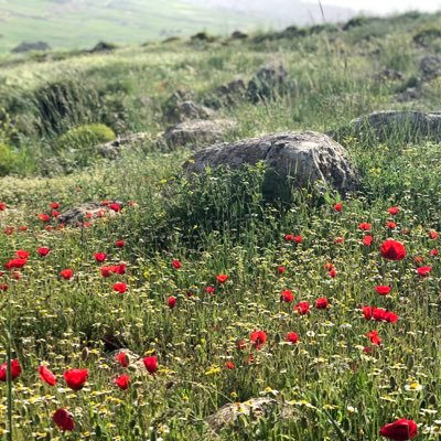 BnbreekFahad's profile picture. سبحان الله وبحمده سبحان الله العظيم