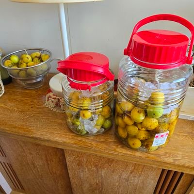 KazuM5543's profile picture. 