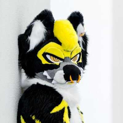 Cris__Wulf's profile picture. Some animal thing || 25 || He/They || 🐺/🐉/🦎/🐶 || 🏋️ / 💻 / 🏈 / 👾 || 18+ || Multisuiter