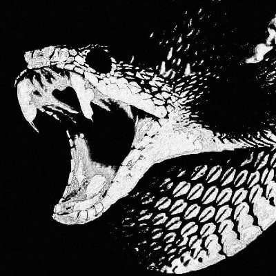 donoban_pe97751's profile picture. 