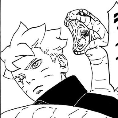 njdtxj's profile picture. 