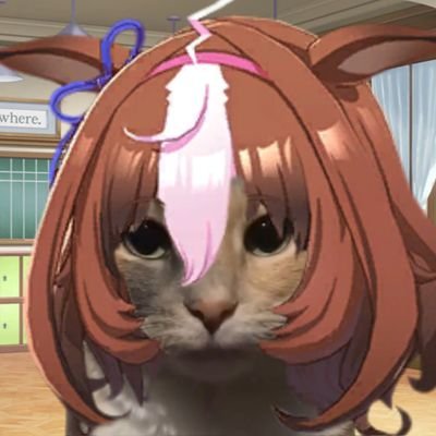 Danzek_14's profile picture. heat abnormal