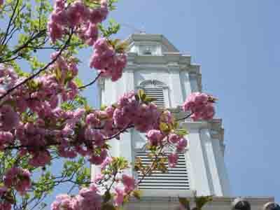 fairfieldchurch's profile picture. The truth shall set you free.